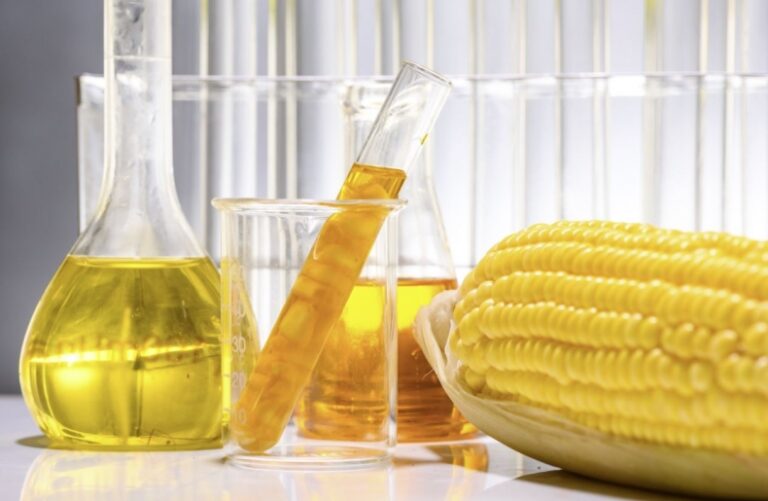 Hydrotreated Vegetable Oil HVO   Biofuel Oil And Corn 768x501 